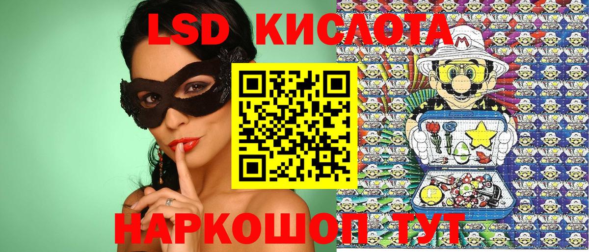 Альфа ПВП Новодвинск