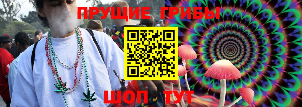 Новодвинск  Псилоцибиновые грибы мицелий  Вход с VPN  Галлюциногенные грибы Psilocybe 