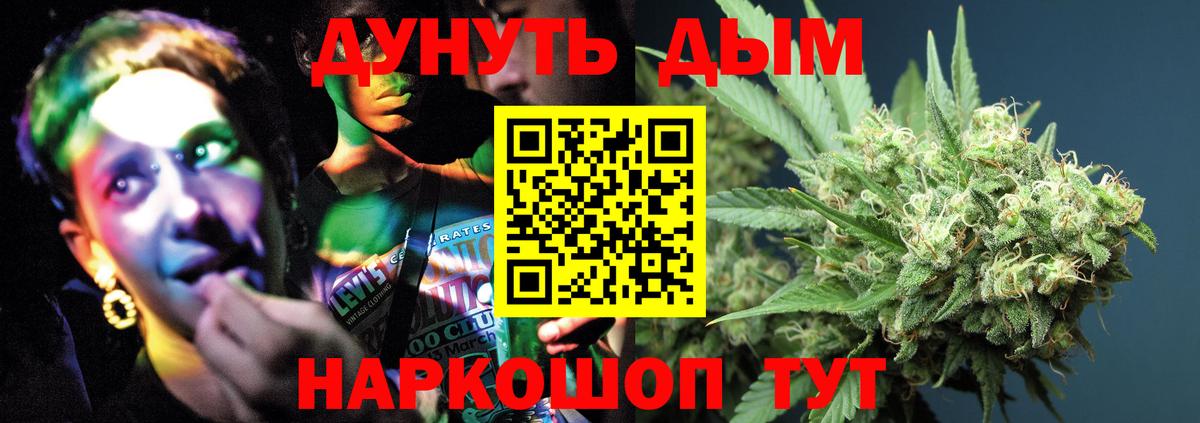 Каннабис гибрид Новодвинск